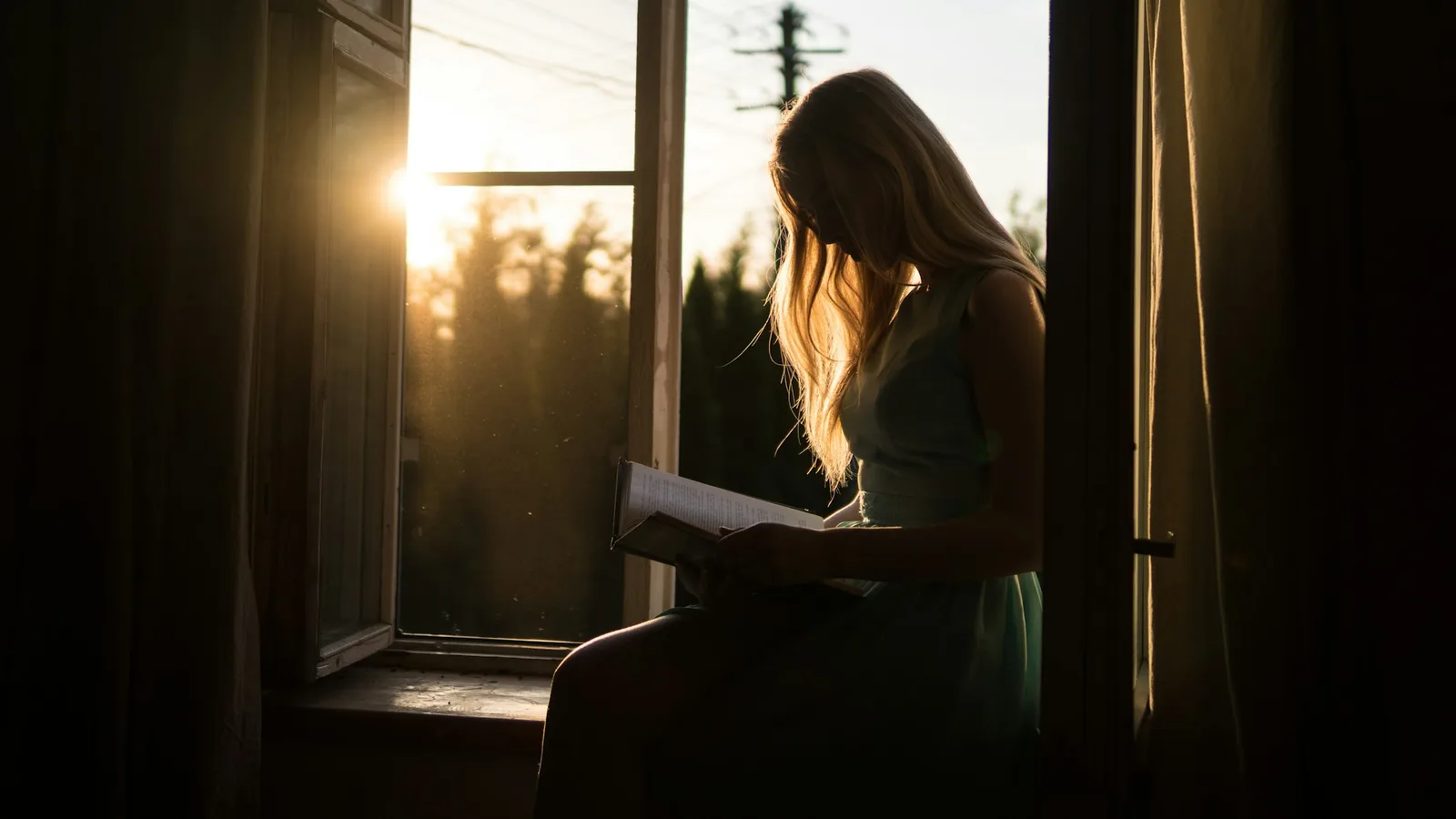 A woman reading a book by a sunlit window